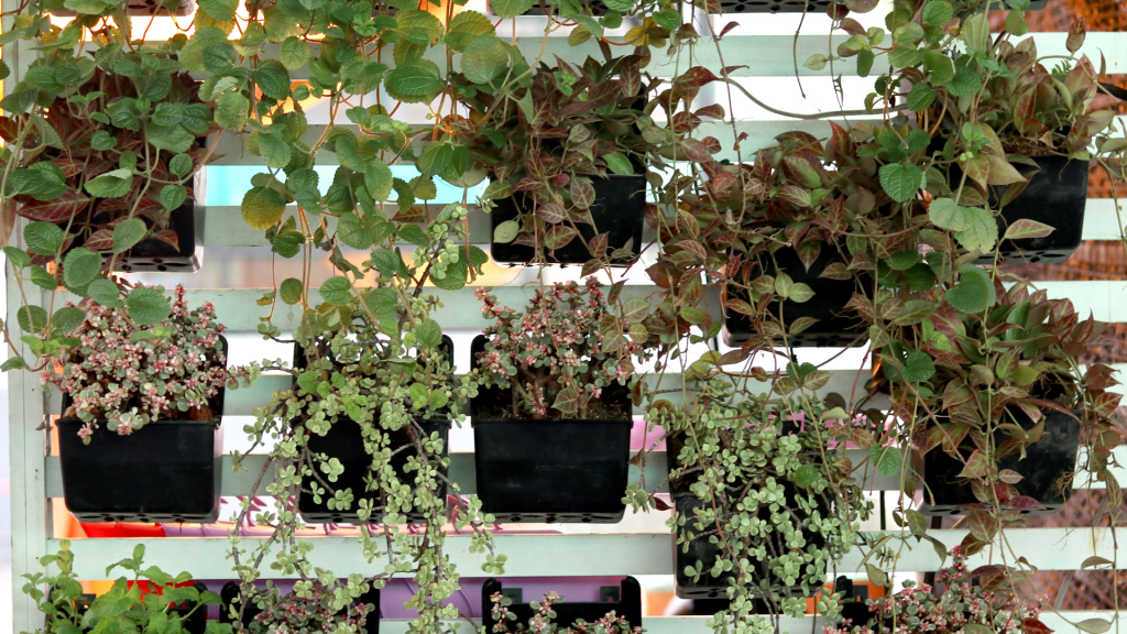 DIY: como construir seu próprio jardim vertical em casa