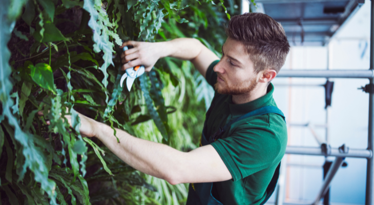 DIY: como construir seu próprio jardim vertical em casa